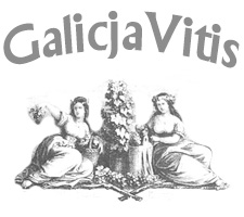 logo-galicia vitis